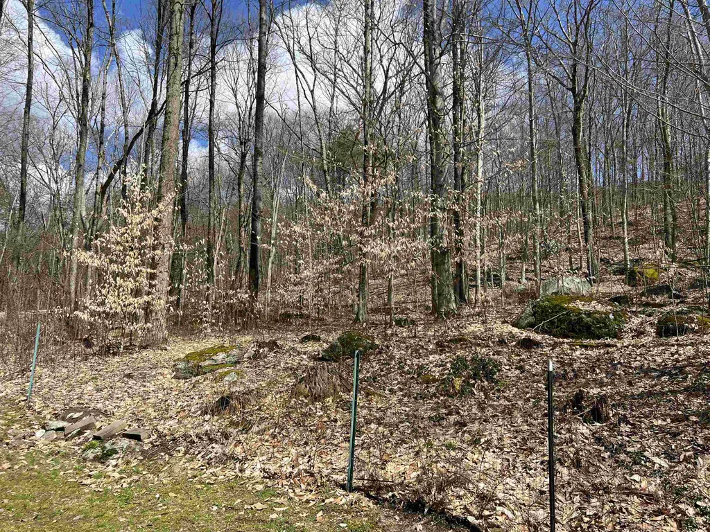 54 Dogwood Drive Leicester VT 05733