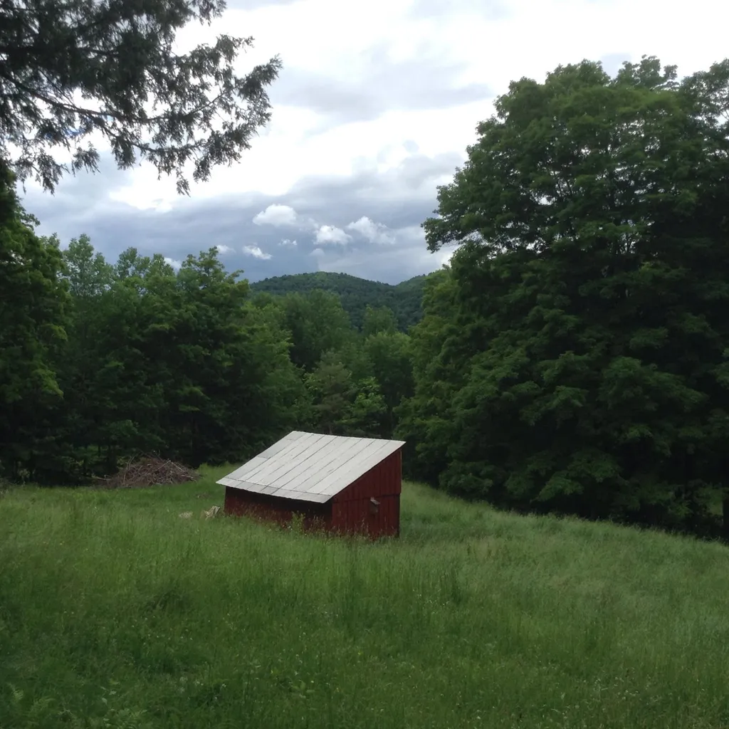 26 Drew Road Tunbridge VT 05077
