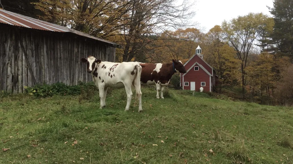 26 Drew Road Tunbridge VT 05077