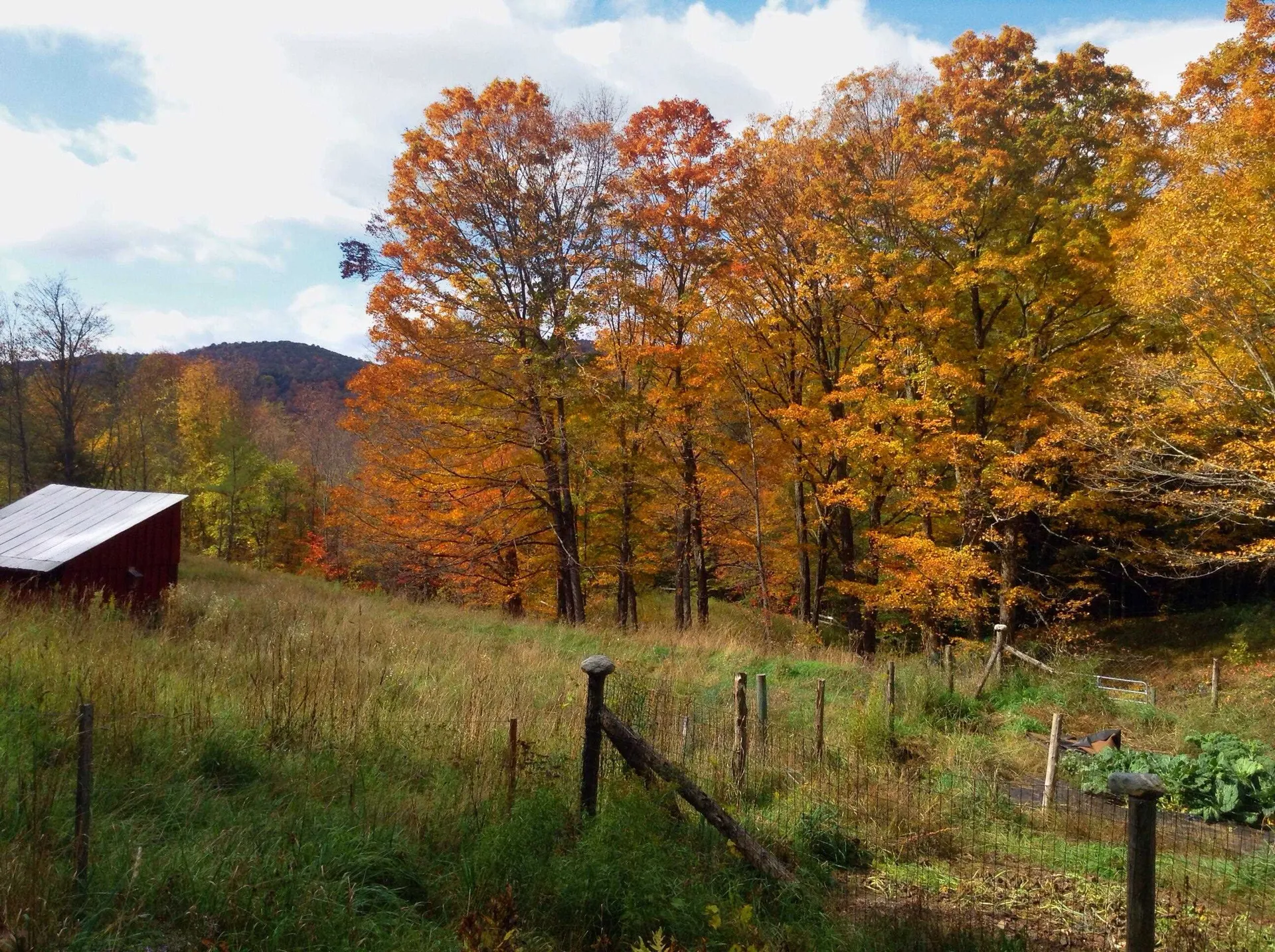 26 Drew Road Tunbridge VT 05077