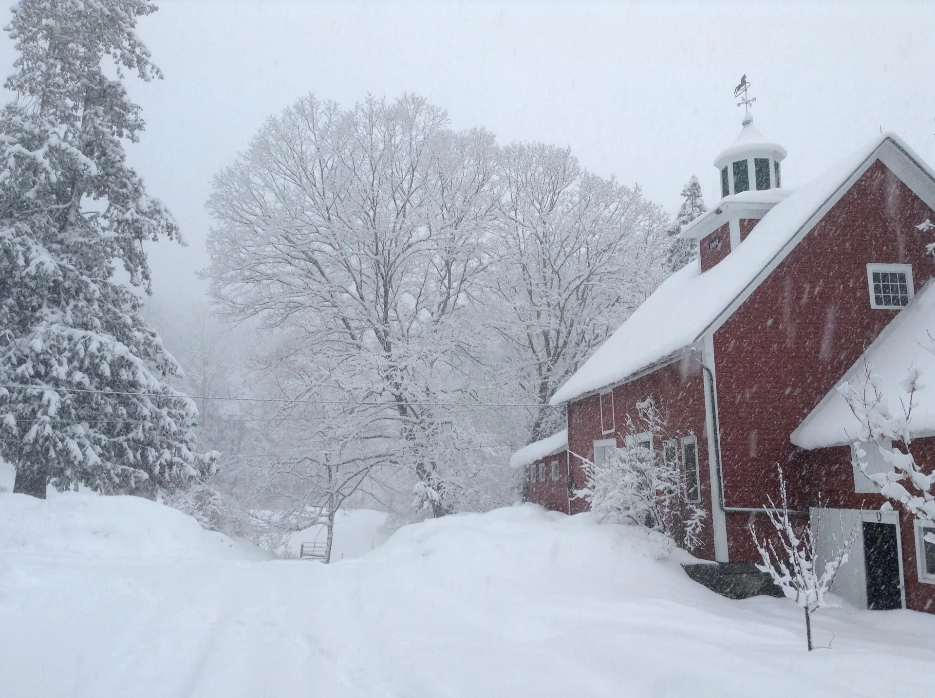26 Drew Road Tunbridge VT 05077