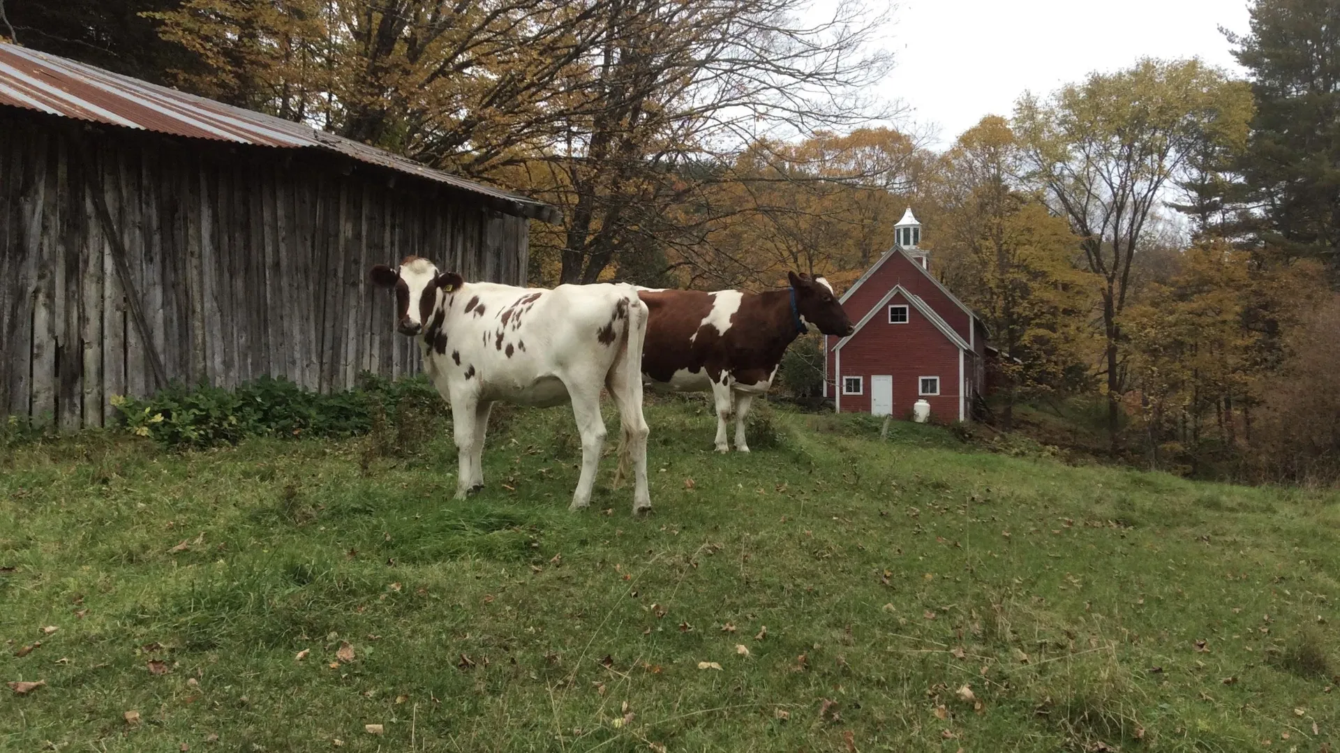 26 Drew Road Tunbridge VT 05077