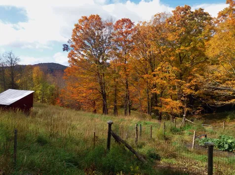 26 Drew Road Tunbridge VT 05077
