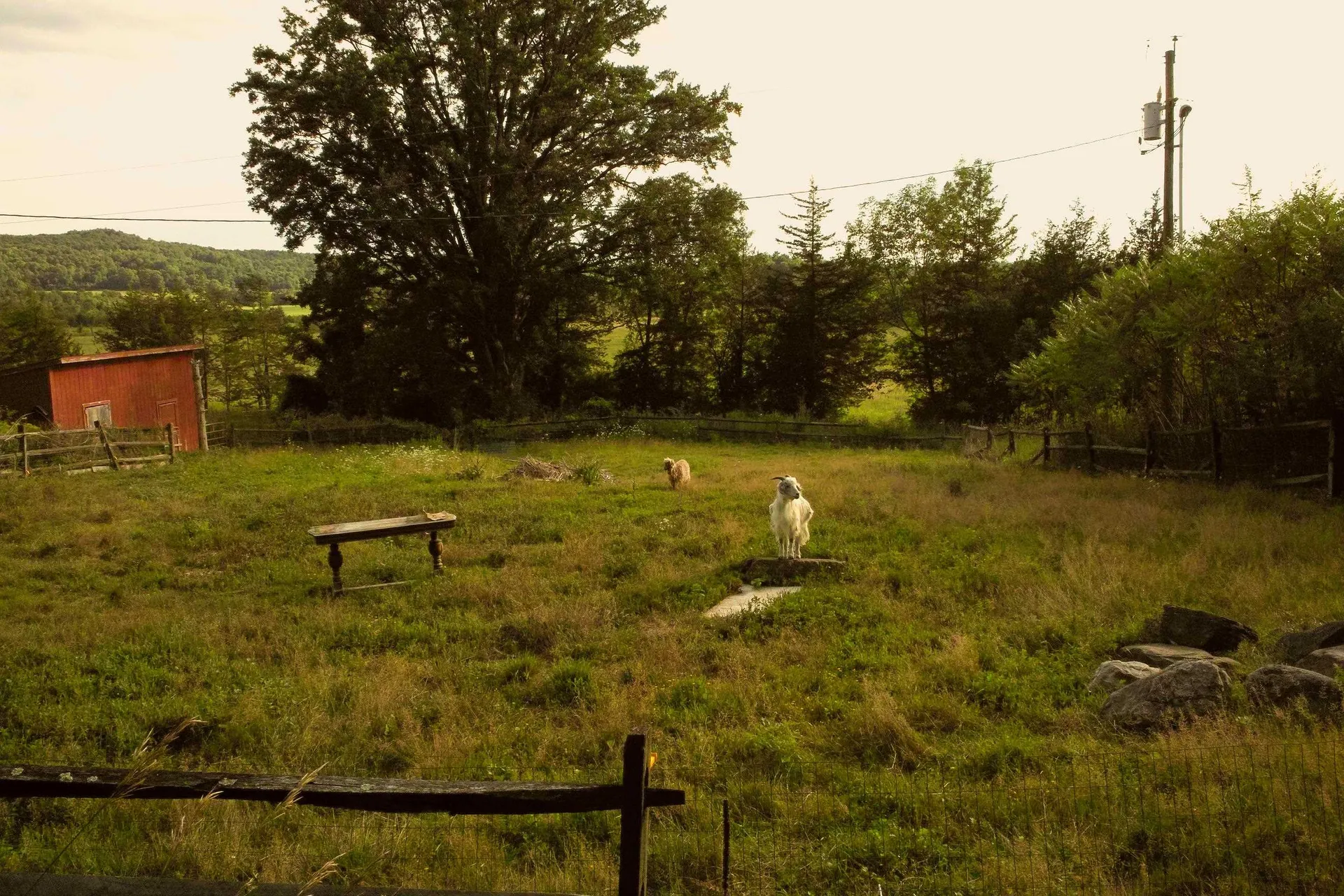 1062 Forrest Road Bridport VT 05734