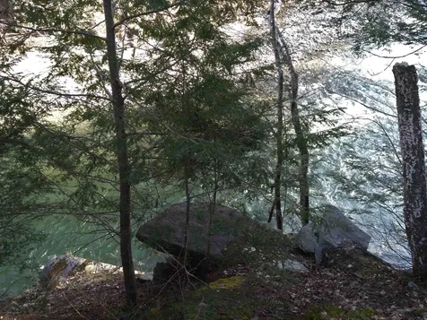 15 Vt Route 30 Newfane VT 05345