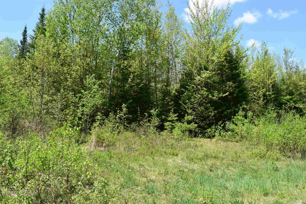 Lot 11 Northwoods Drive Whitefield NH 03598