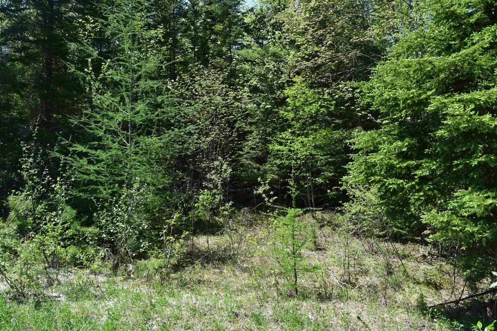 Lot 11 Northwoods Drive Whitefield NH 03598