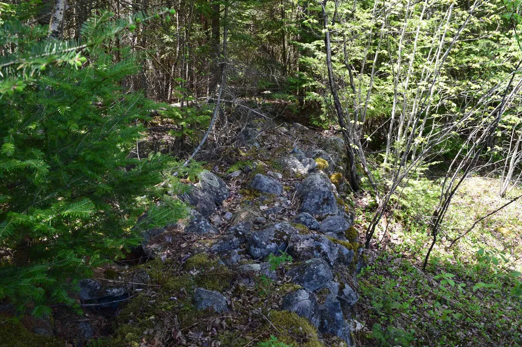 Lot 11 Northwoods Drive Whitefield NH 03598