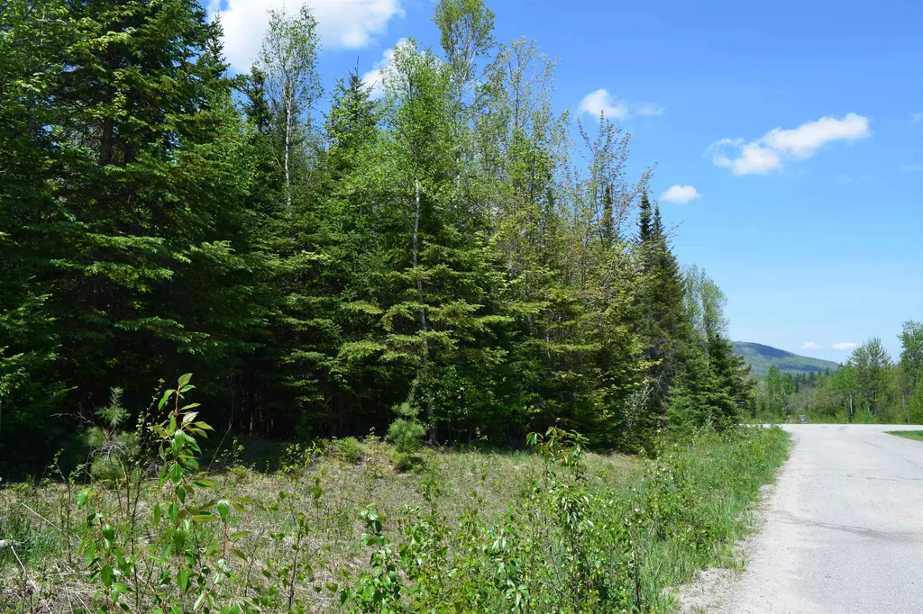 Lot 11 Northwoods Drive Whitefield NH 03598