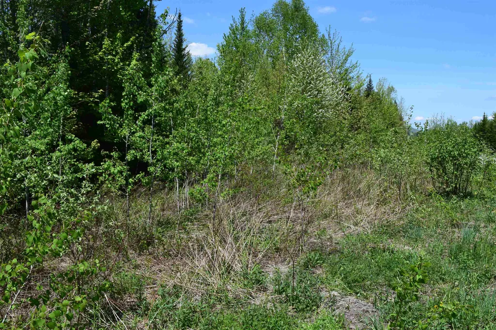 Lot 11 Northwoods Drive Whitefield NH 03598