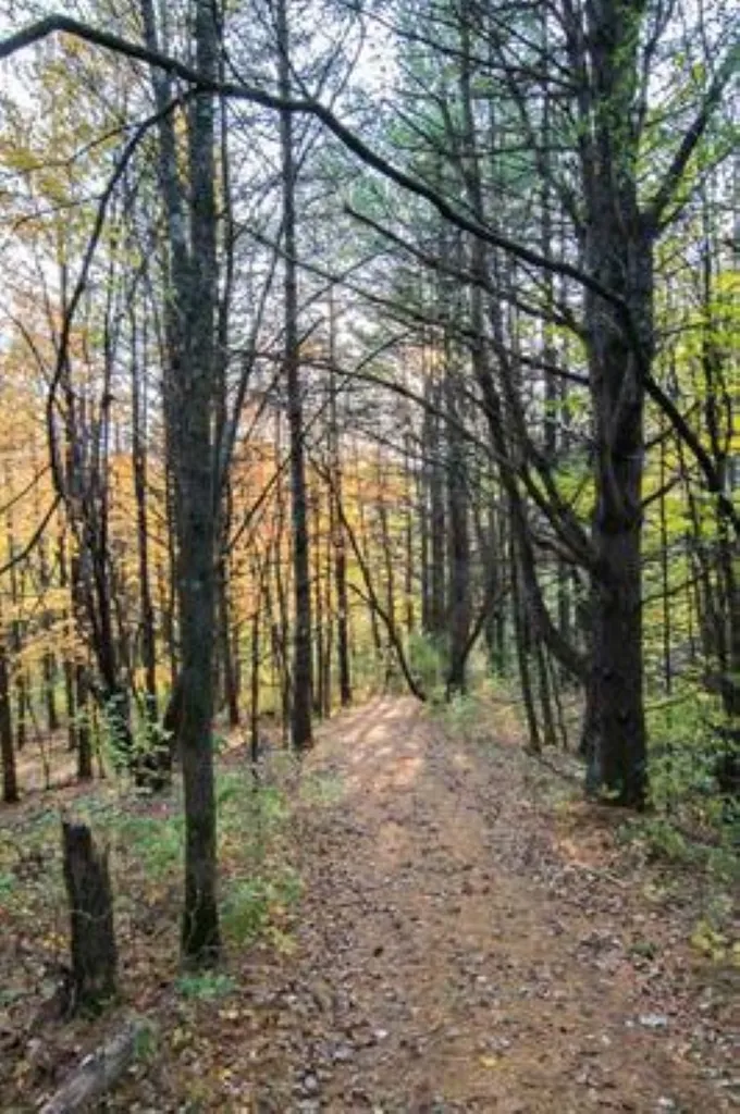6851 Spear Street Charlotte VT 05445