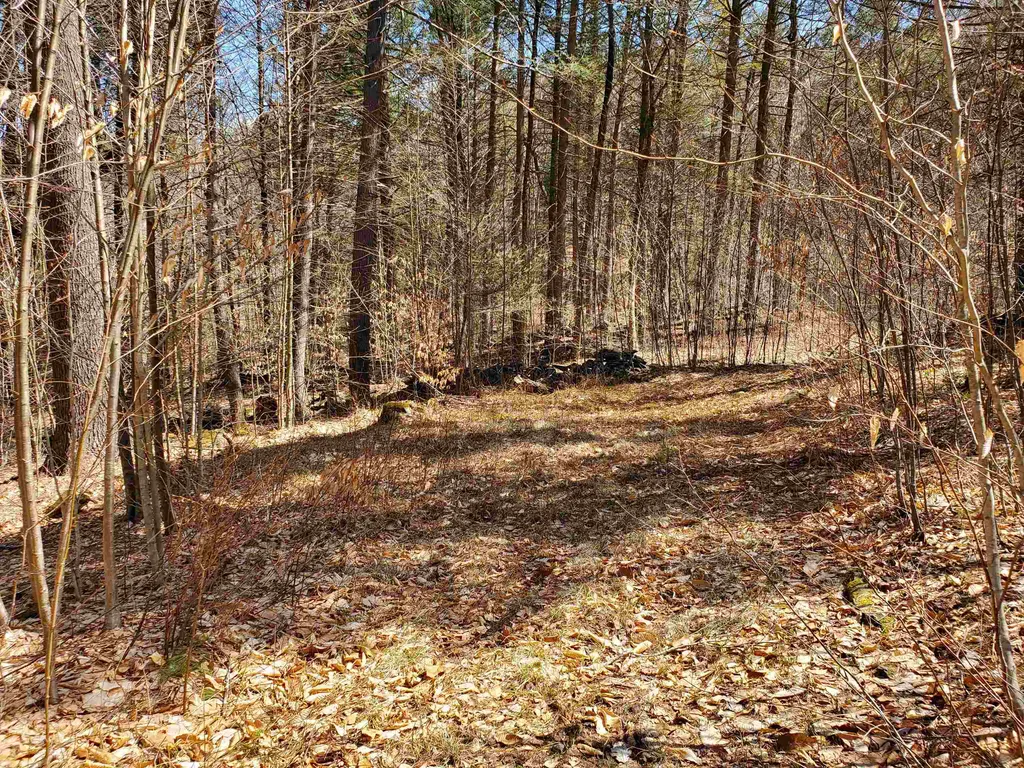 00 Sunset Lake Road Newfane VT 05345