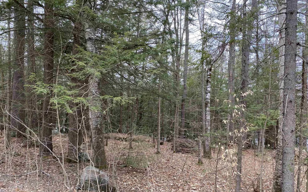 53 Anderson Pond Road Grantham NH 03753