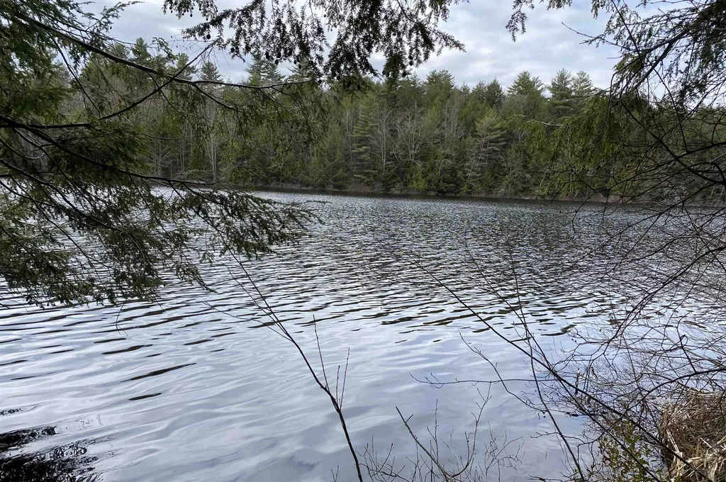 53 Anderson Pond Road Grantham NH 03753