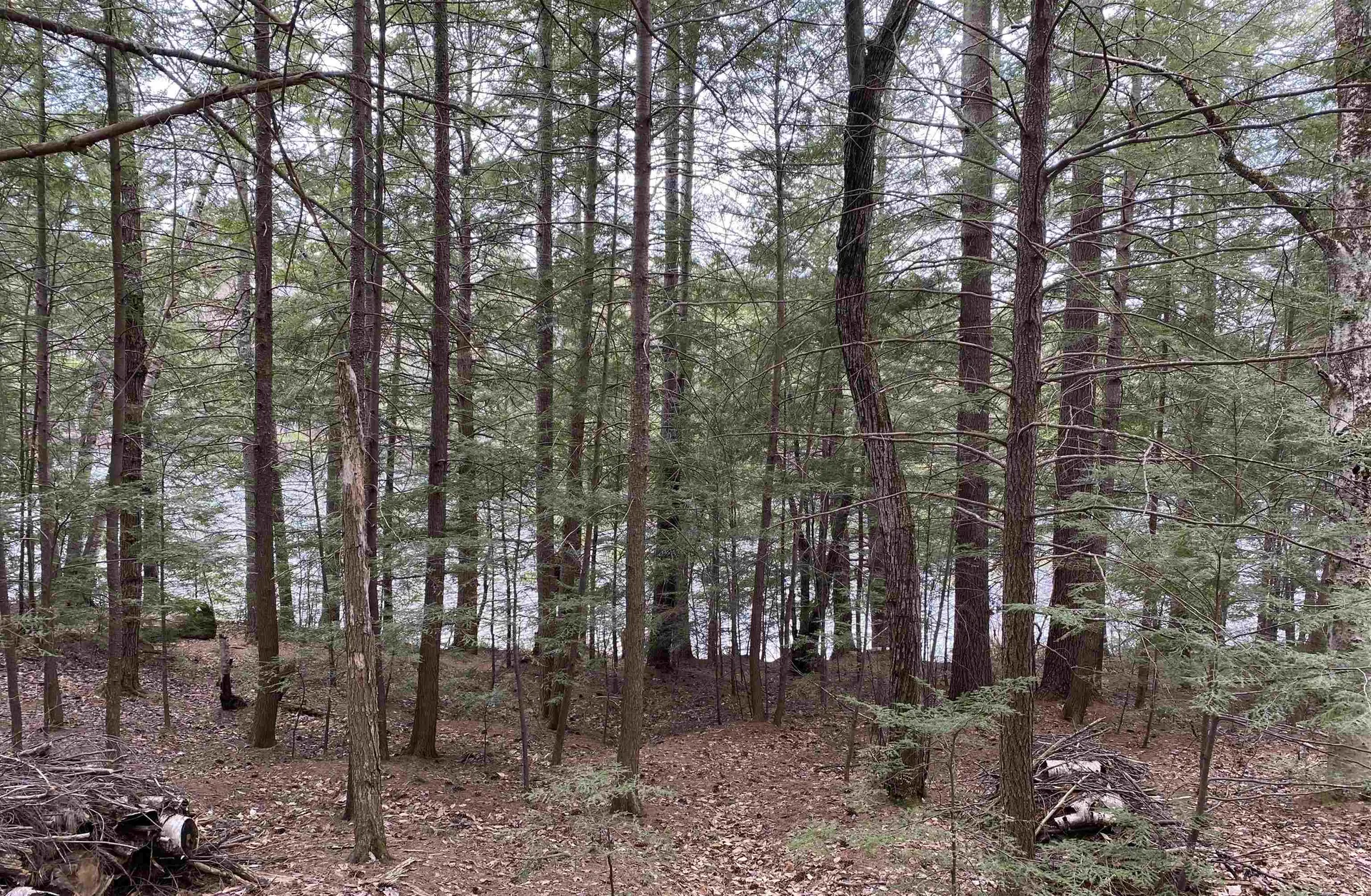 53 Anderson Pond Road Grantham NH 03753