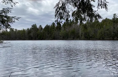 53 Anderson Pond Road Grantham NH 03753