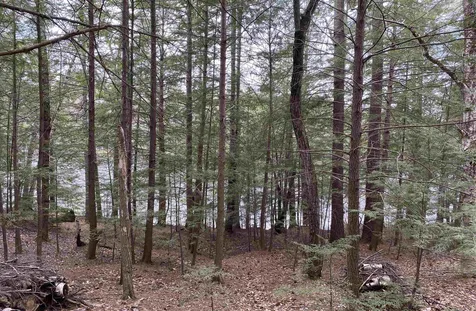53 Anderson Pond Road Grantham NH 03753