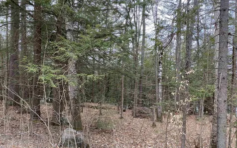 53 Anderson Pond Road Grantham NH 03753