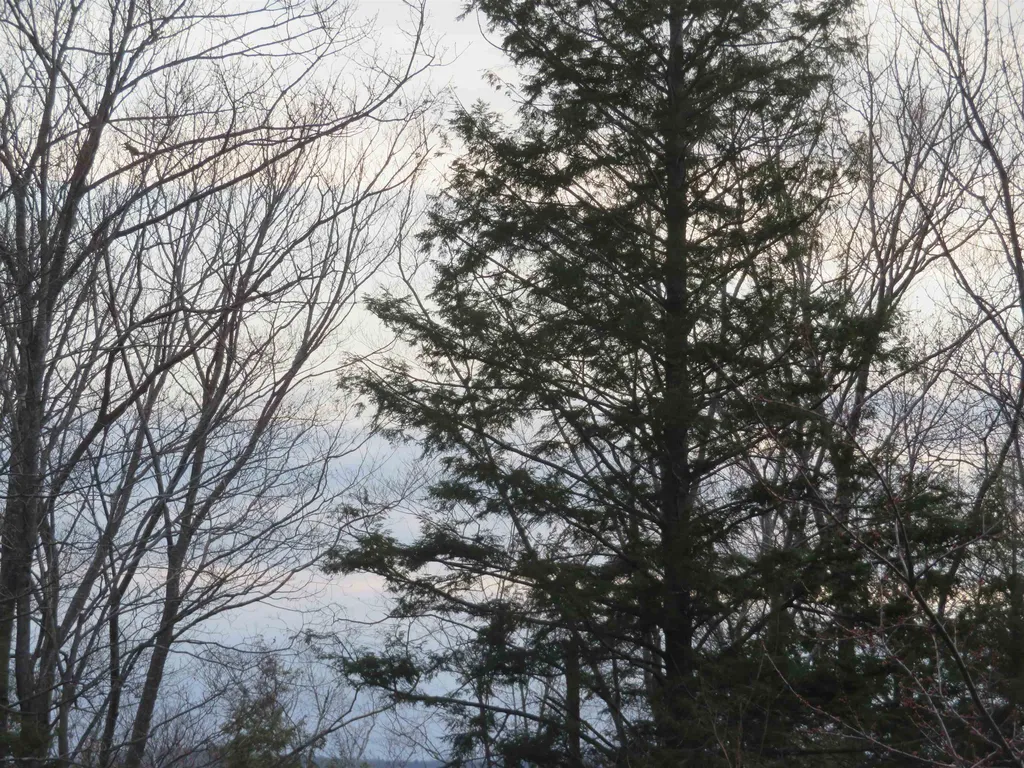 00 Ossipee Mountain Road Moultonborough NH 03254