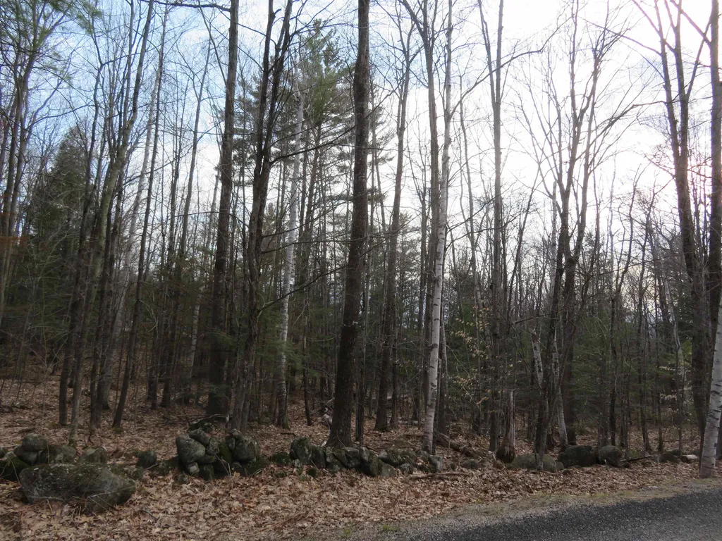 00 Ossipee Mountain Road Moultonborough NH 03254