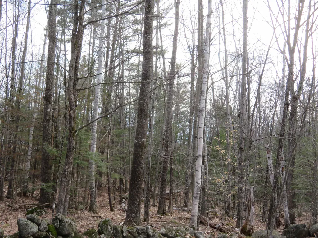 00 Ossipee Mountain Road Moultonborough NH 03254