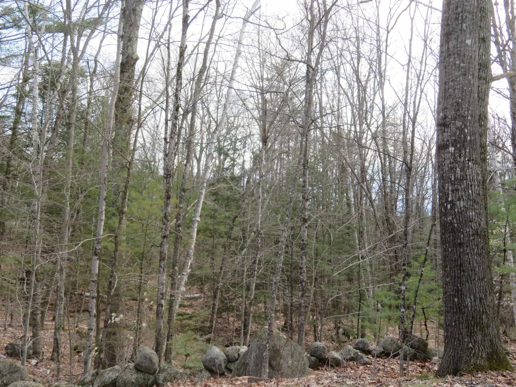00 Ossipee Mountain Road Moultonborough NH 03254