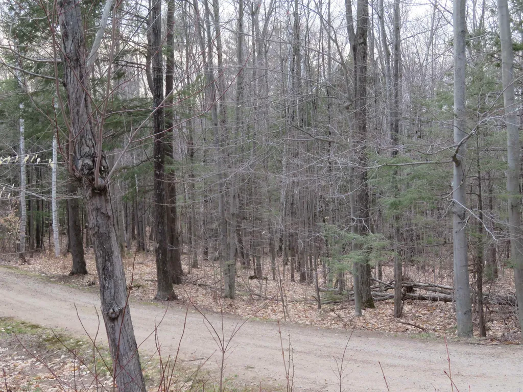 00 Ossipee Mountain Road Moultonborough NH 03254