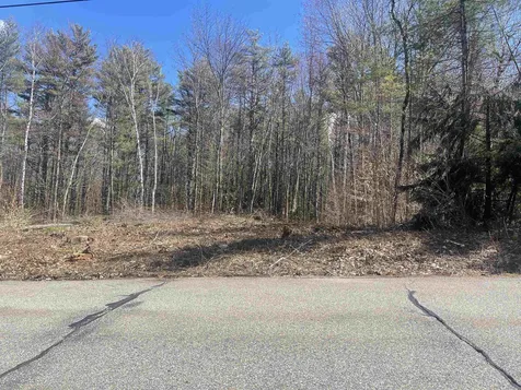 Map 273 Lot 5 Alpine Meadows Road Wolfeboro NH 03894