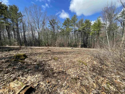 Map 273 Lot 5 Alpine Meadows Road Wolfeboro NH 03894