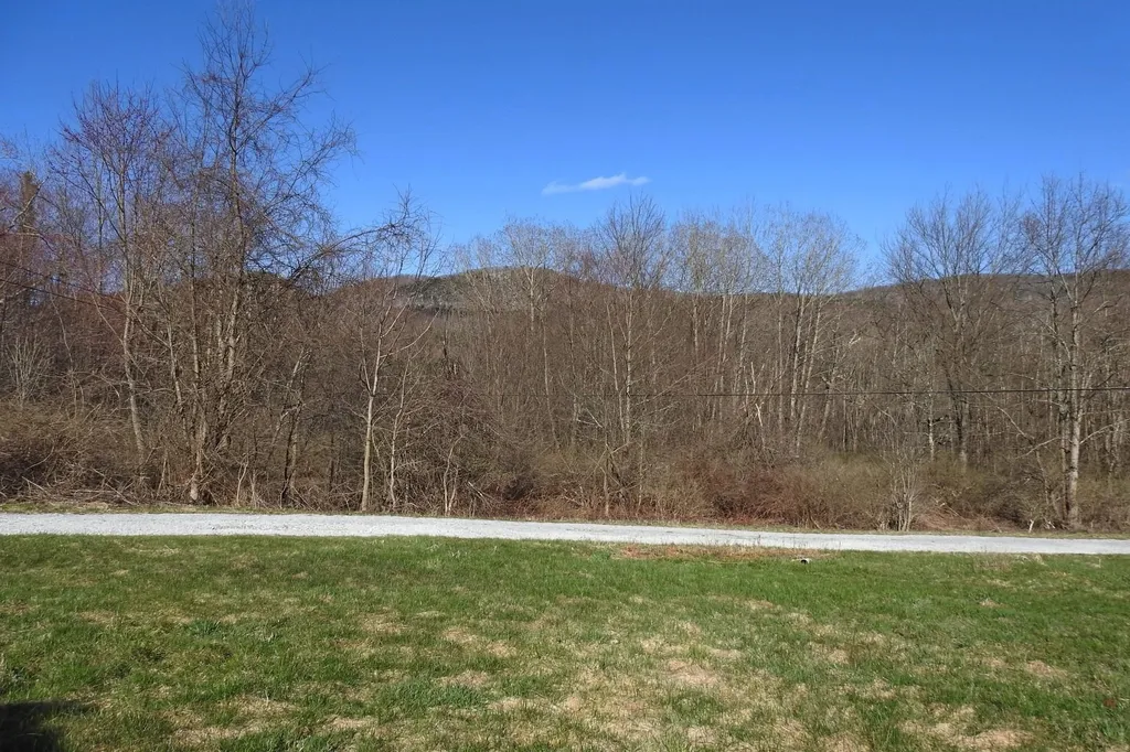 109 Morgan Road Tinmouth VT 05773