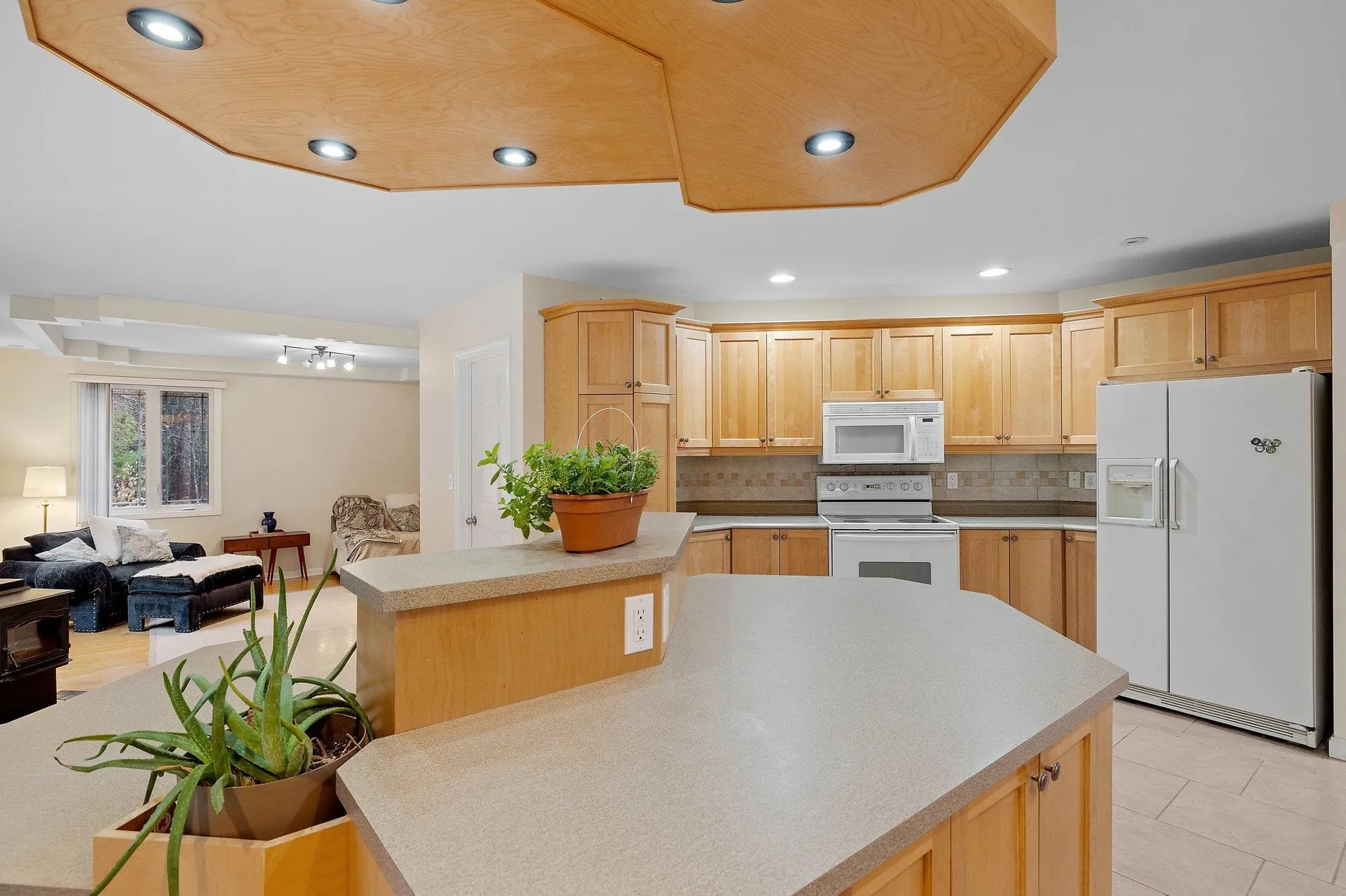 8 Frances Drive Deerfield NH 03037