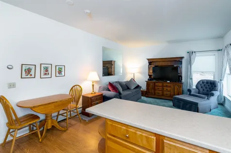 523 Little River Farm Road Stowe VT 05672