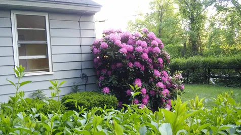 95 Williams Street Brattleboro VT 05301