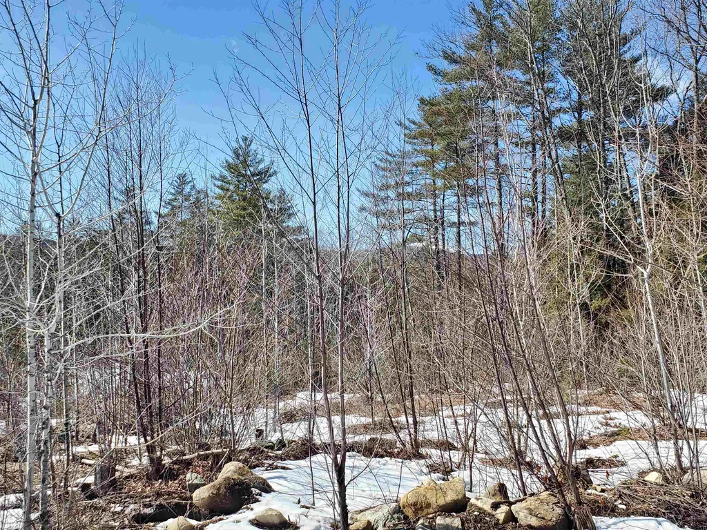 274 Prescott Hill Road Grafton NH 03240