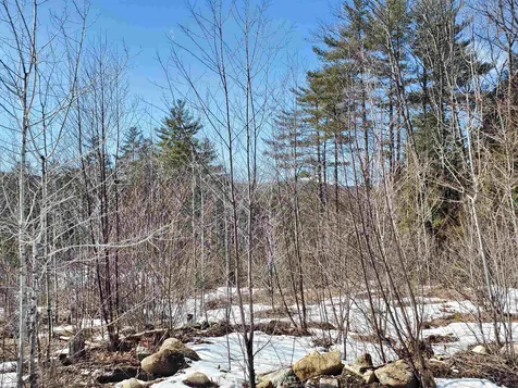 274 Prescott Hill Road Grafton NH 03240