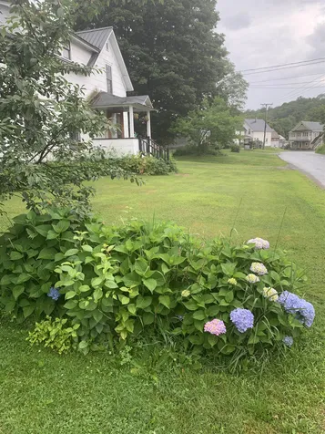 66 Ferry Street Hyde Park VT 05655