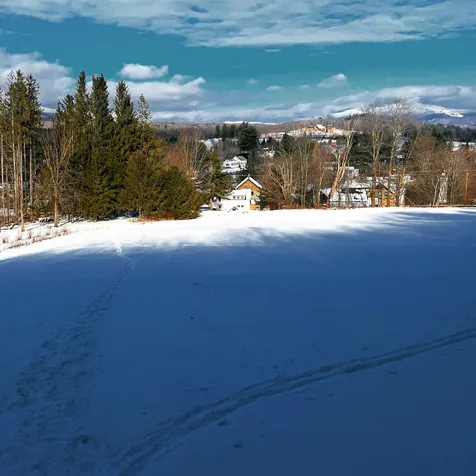 66 Ferry Street Hyde Park VT 05655