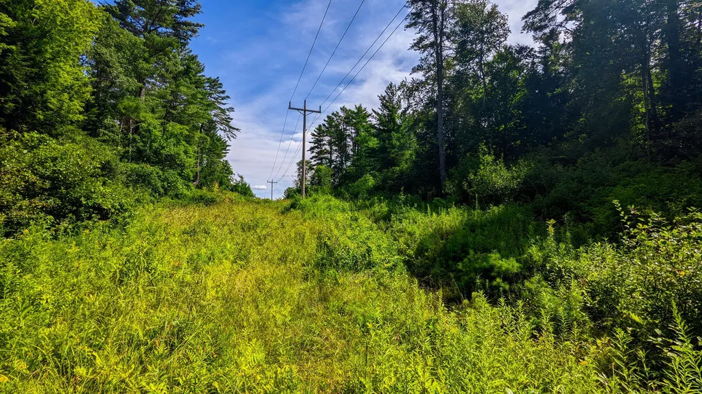 55 Foster Avenue Springfield VT 05156
