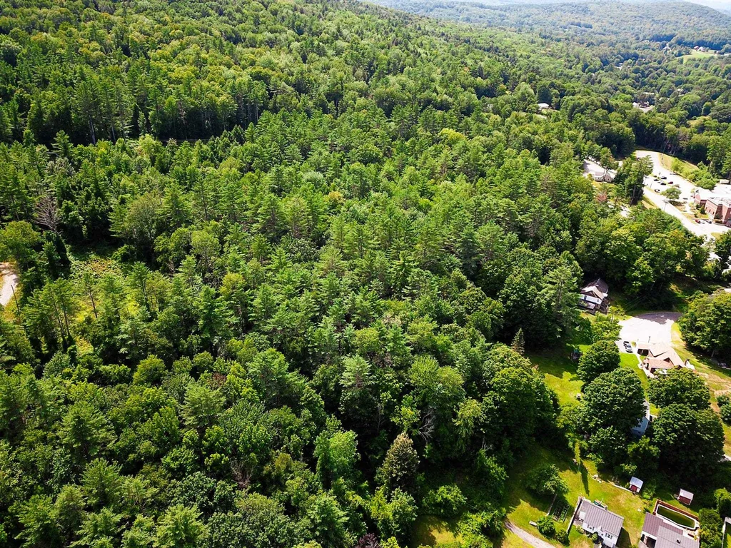 55 Foster Avenue Springfield VT 05156