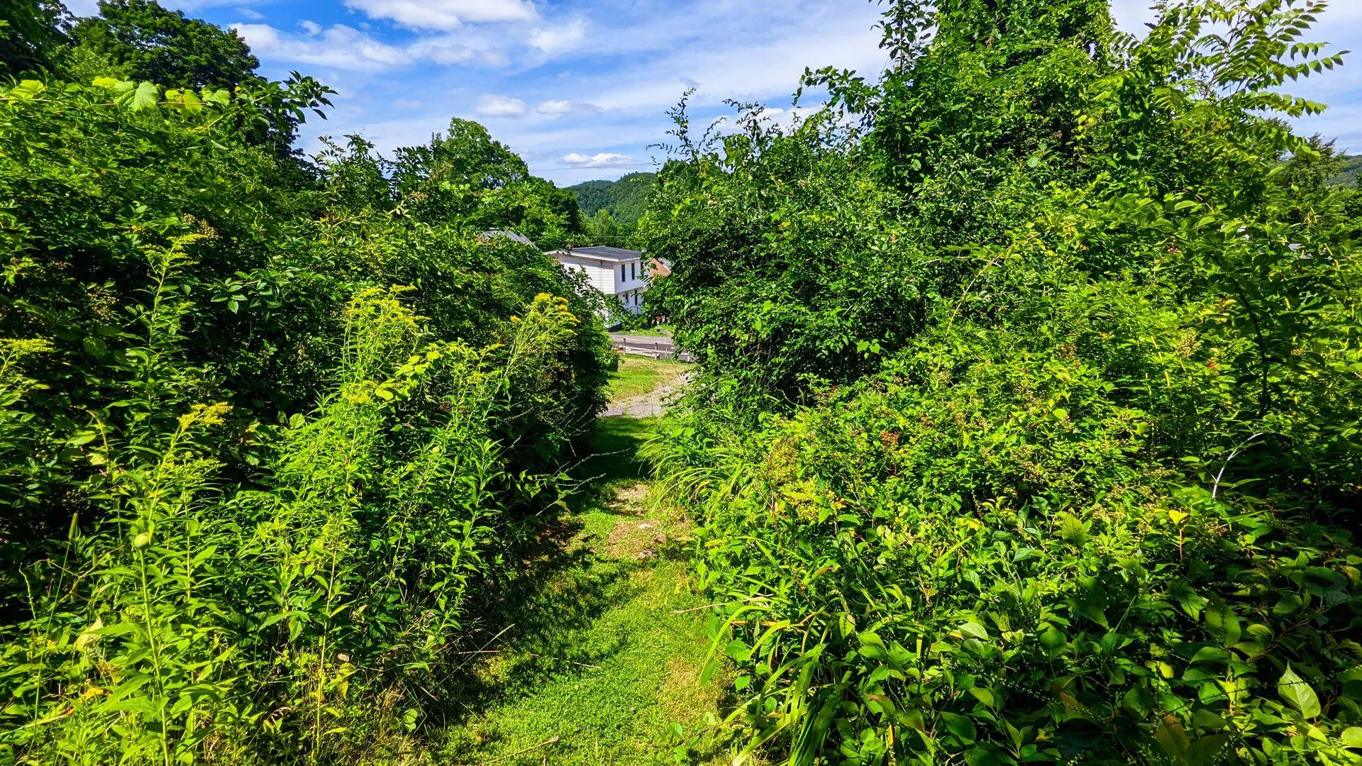 55 Foster Avenue Springfield VT 05156