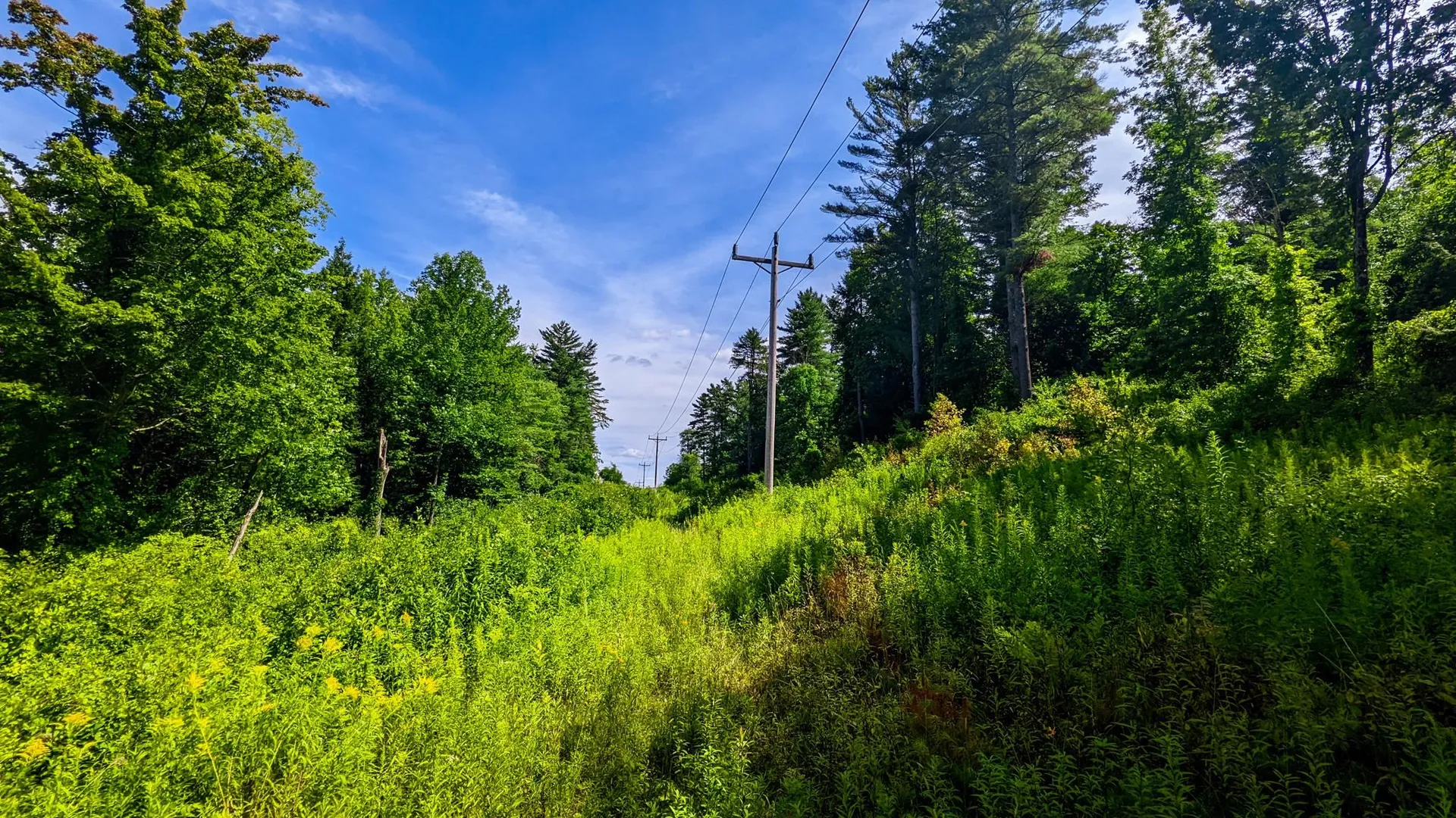 55 Foster Avenue Springfield VT 05156