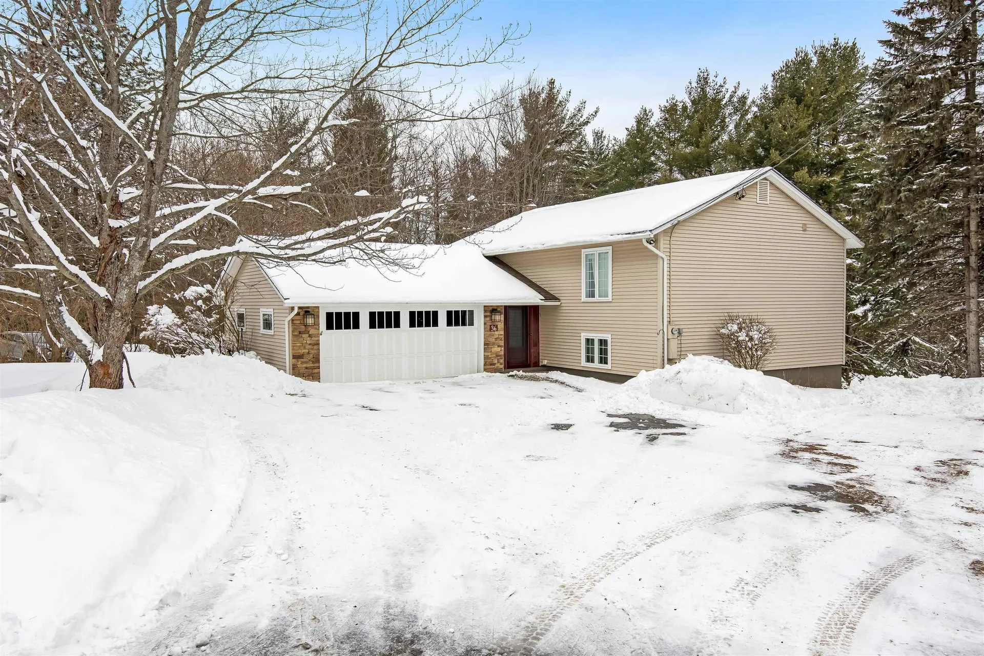 36 Platinum Plain Barre Town VT 05641