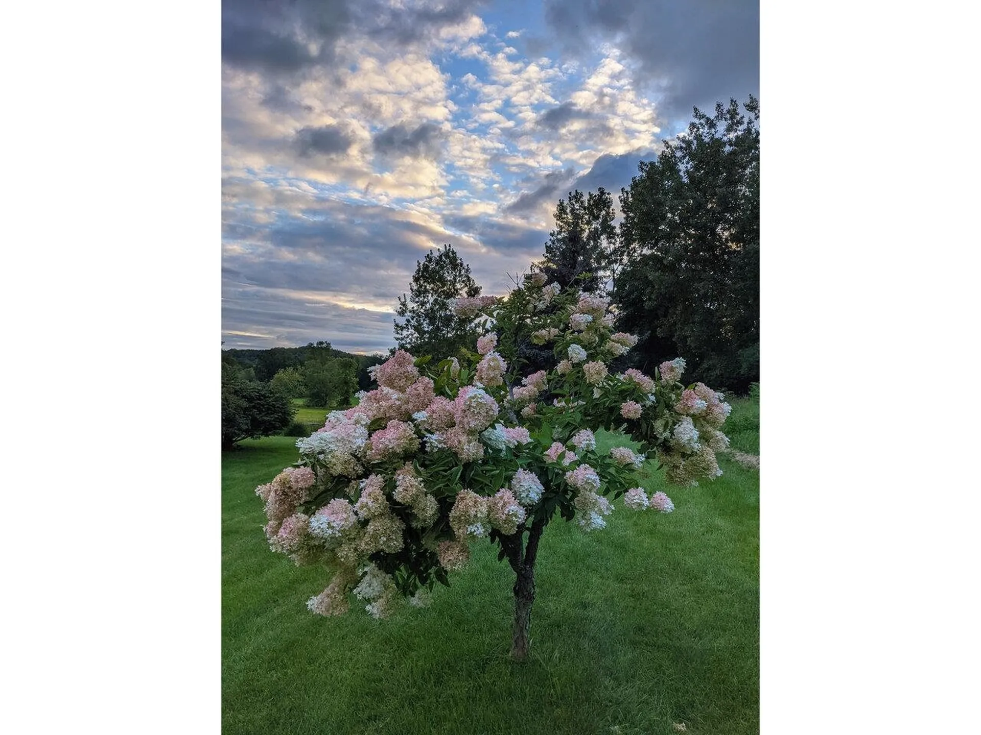 203 Shelburne Falls Road Hinesburg VT 05461