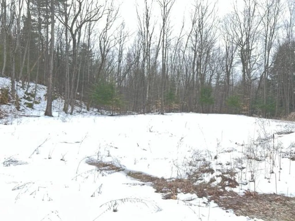 2120 Upper Plains Road Salisbury VT 05769