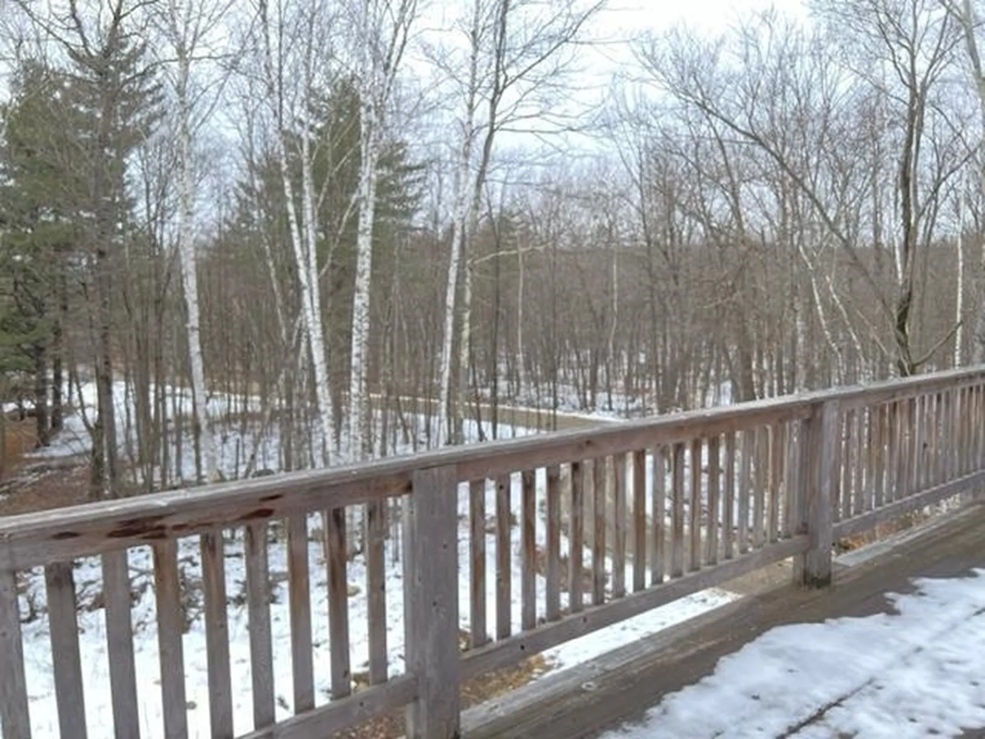 2120 Upper Plains Road Salisbury VT 05769