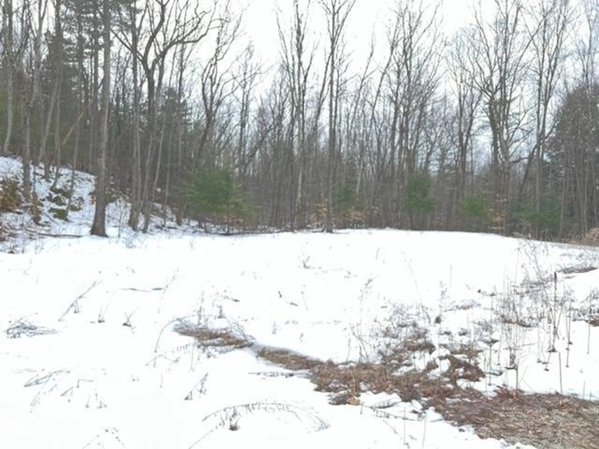 2120 Upper Plains Road Salisbury VT 05769