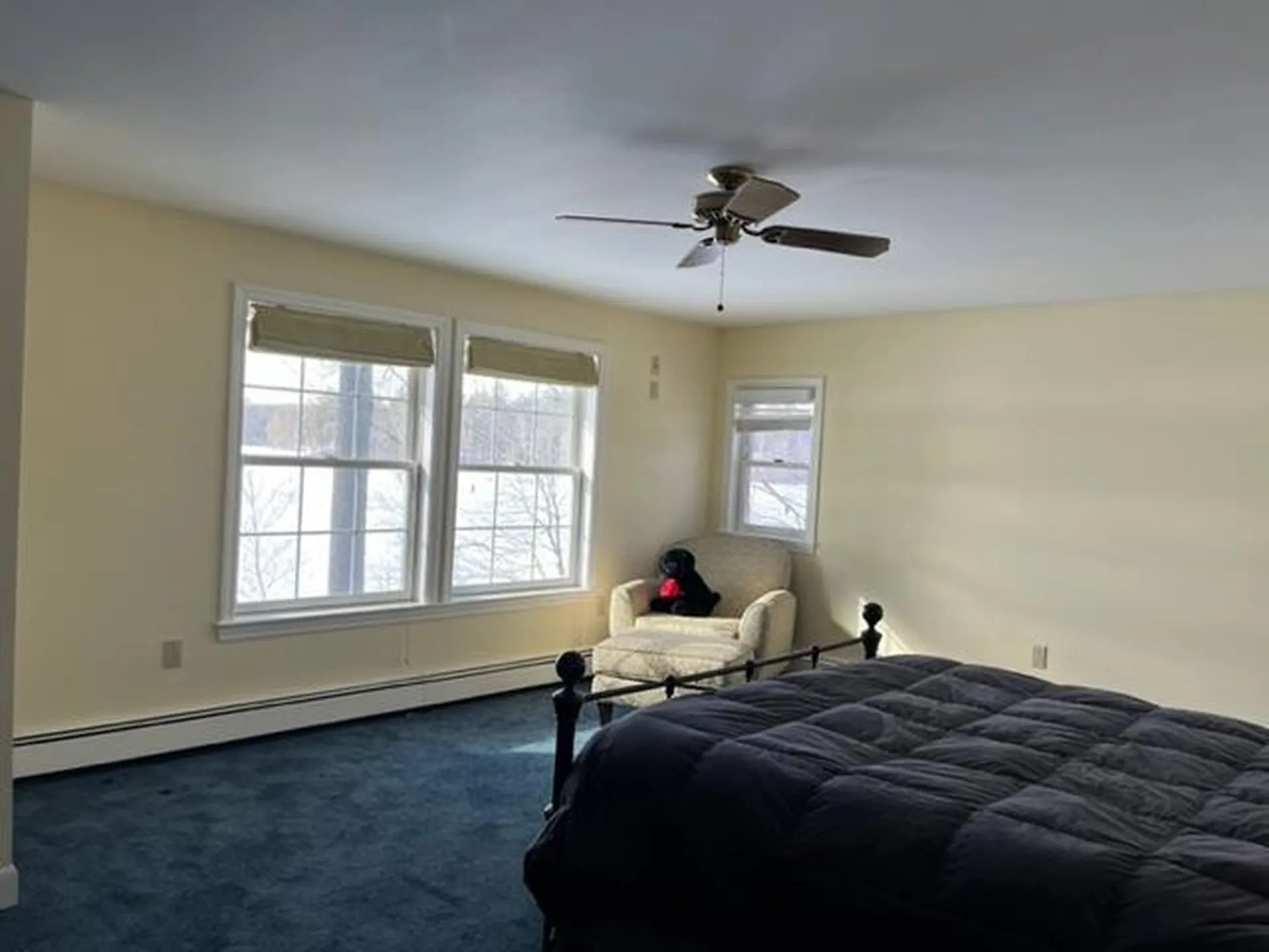 224 Mcmanus Road Wolfeboro NH 03894