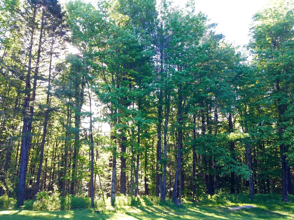 352 Maple Hill Road Johnson VT 05656