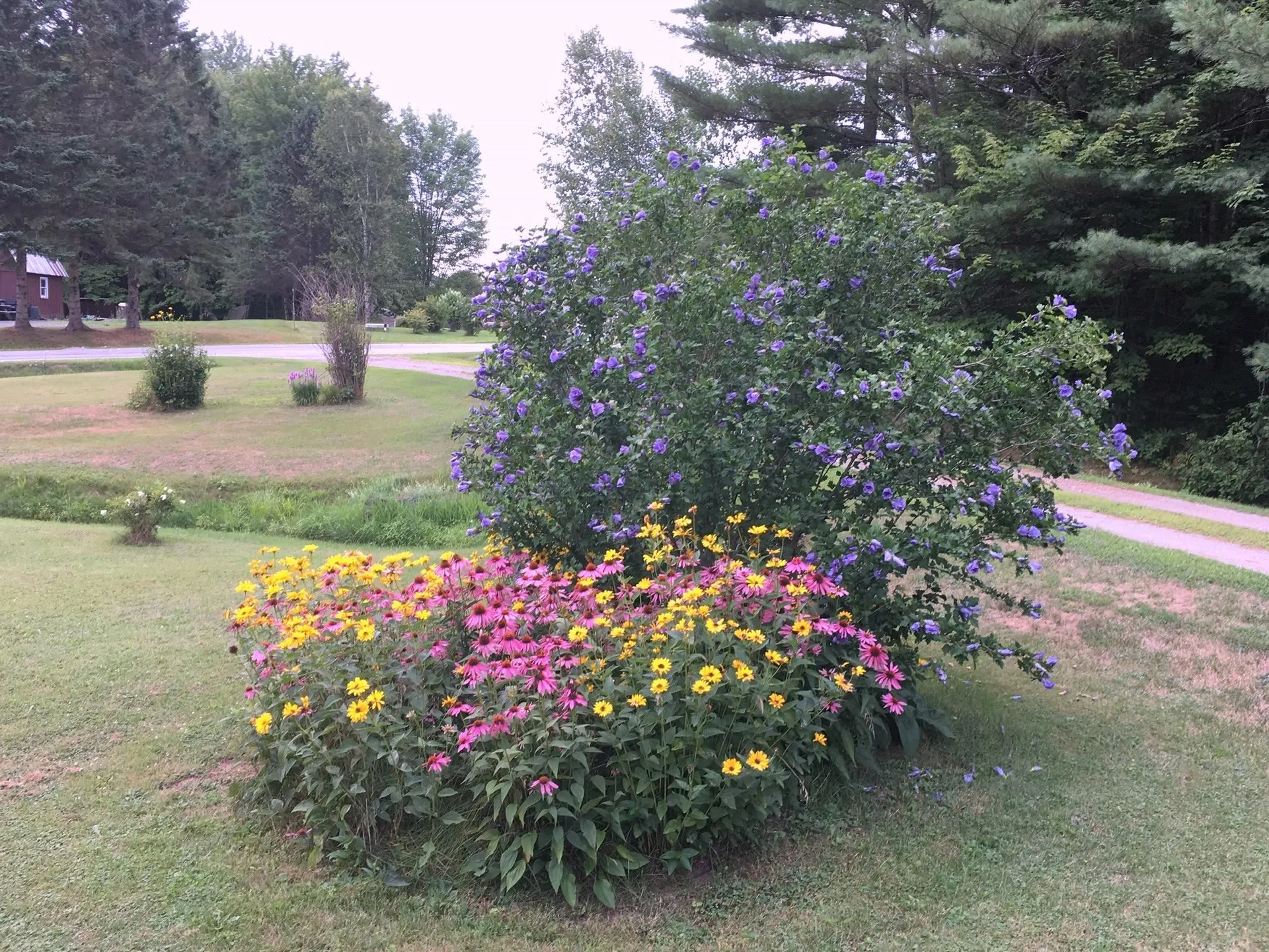 352 Maple Hill Road Johnson VT 05656