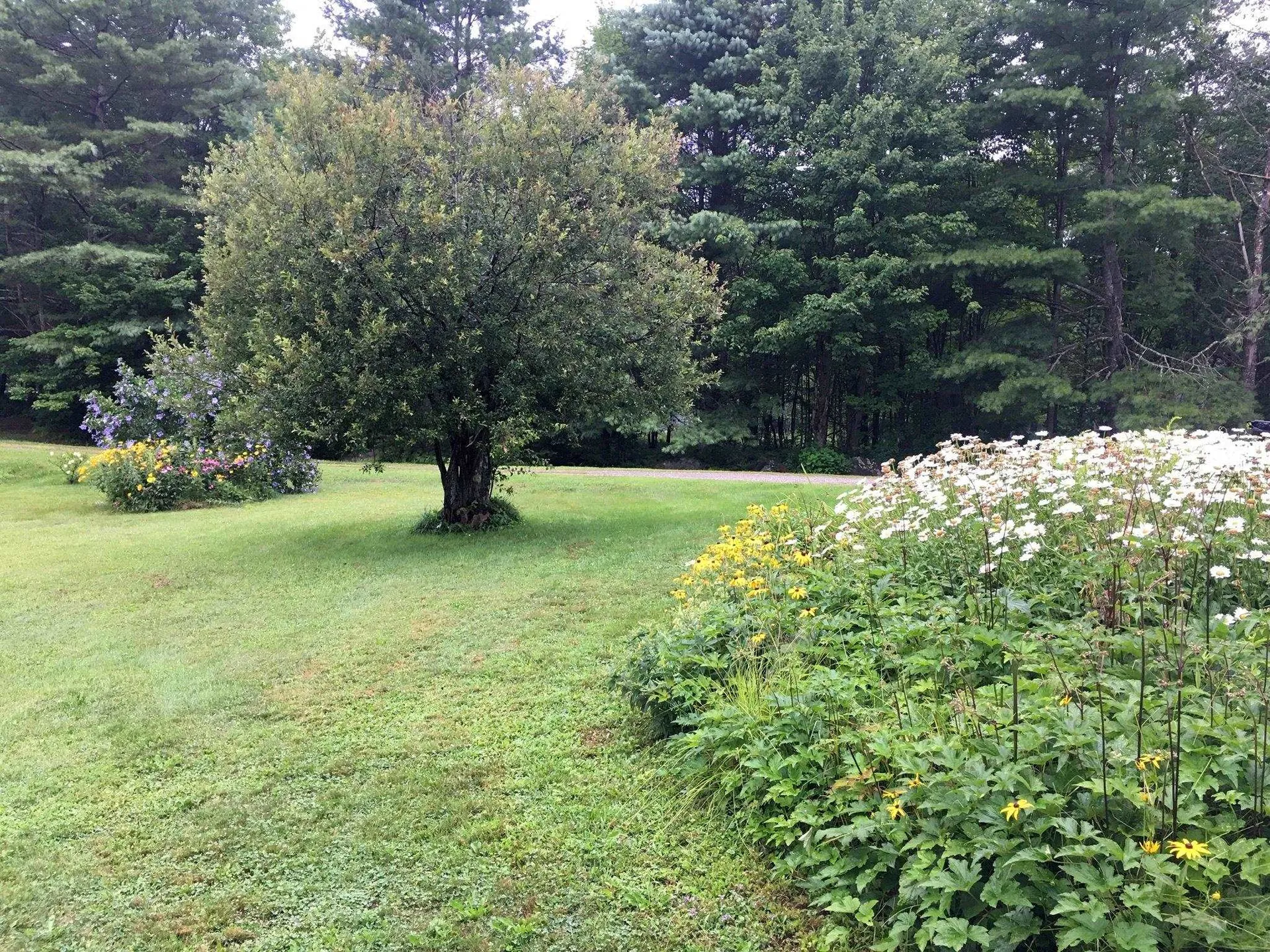 352 Maple Hill Road Johnson VT 05656